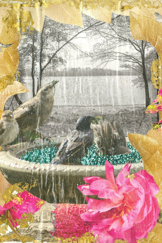 STORYBOARD - BIRDS OF A FEATHER