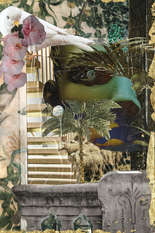 STORYBOARD - FRAMING FAITH